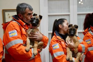 Santa Cruz fortalece su sistema de respuesta ante emergencias con la incorporación de nuevos canes especializados