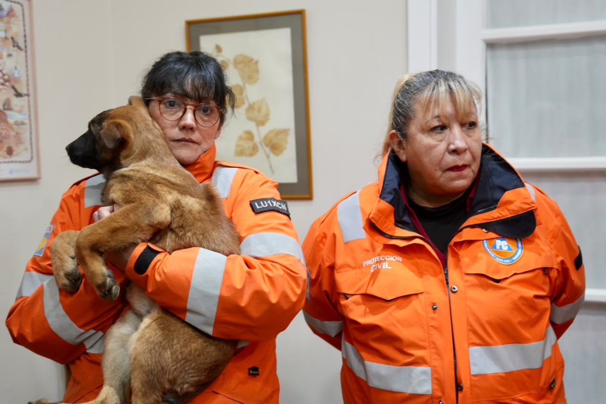 Santa Cruz fortalece su sistema de respuesta ante emergencias con la incorporación de nuevos canes especializados