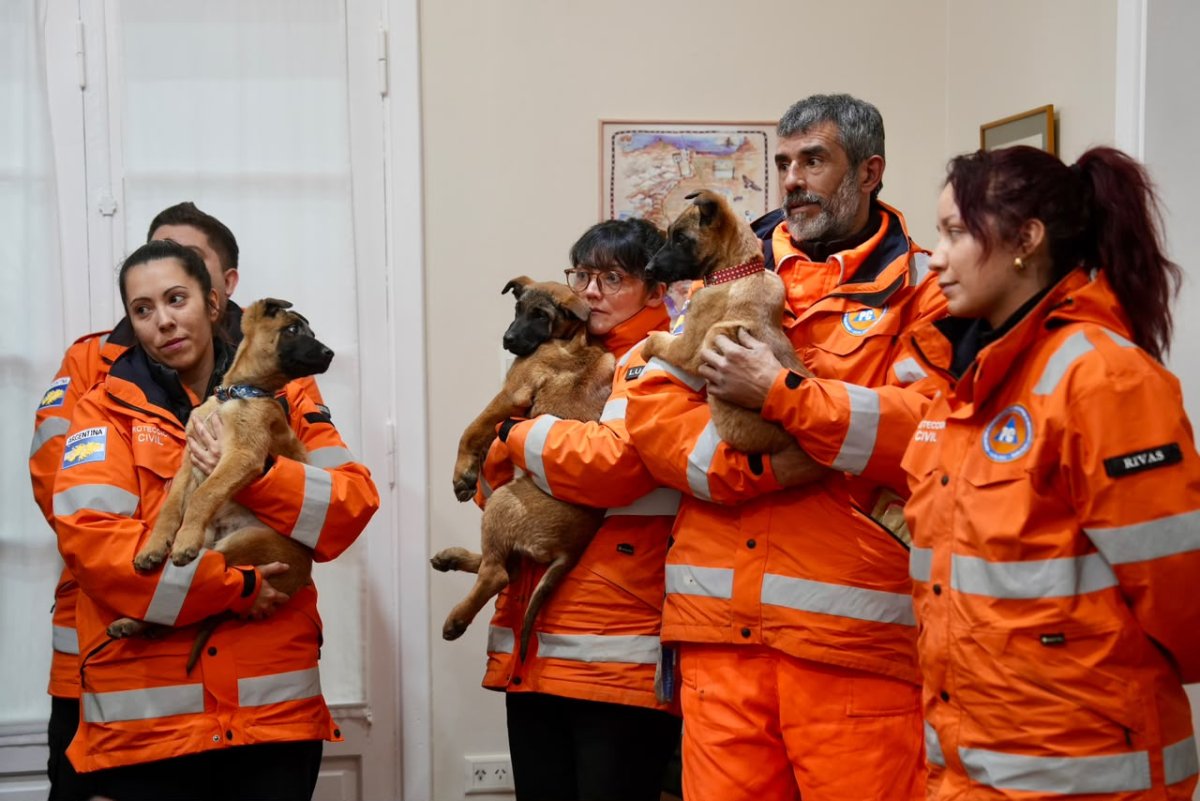 Santa Cruz fortalece su sistema de respuesta ante emergencias con la incorporación de nuevos canes especializados