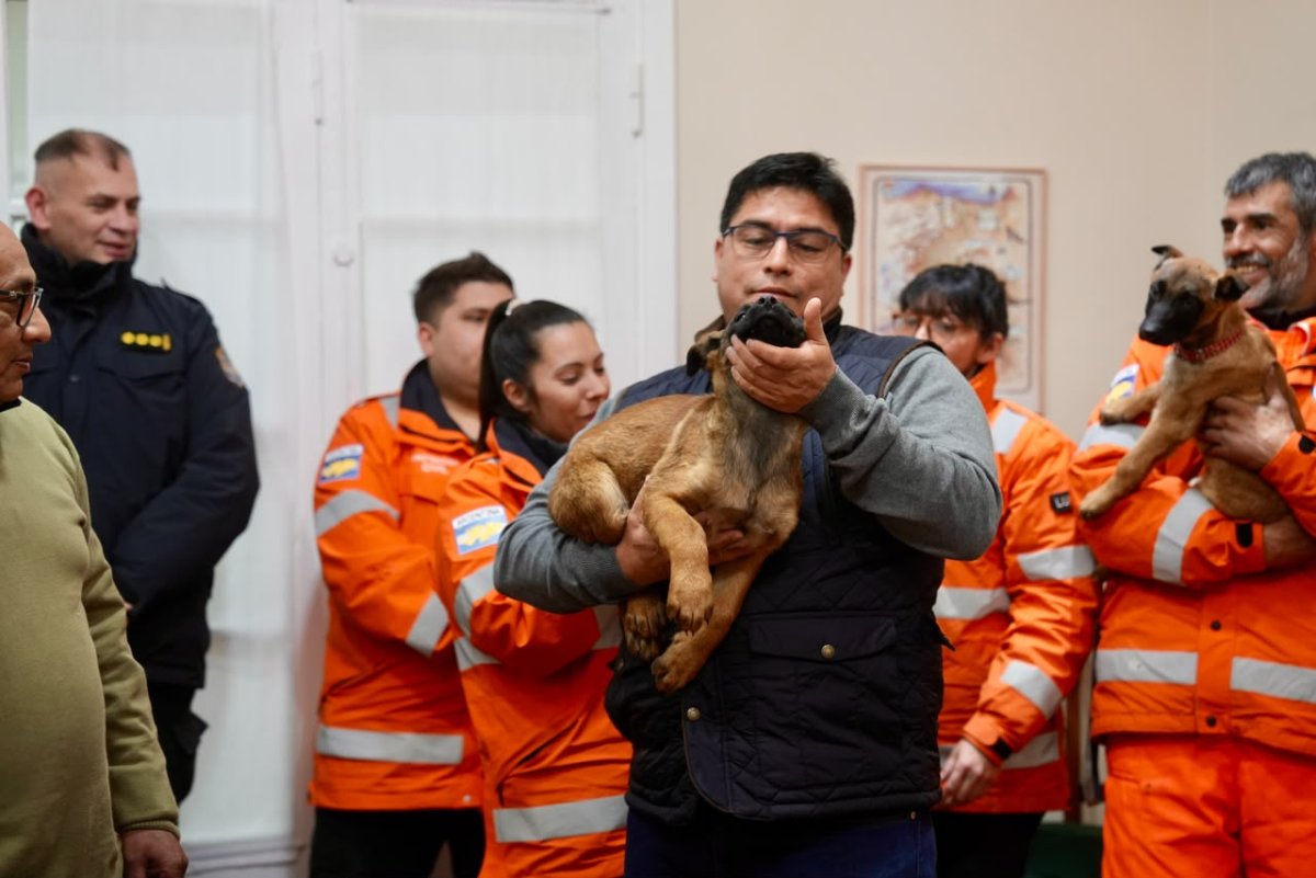 Santa Cruz fortalece su sistema de respuesta ante emergencias con la incorporaci&oacute;n de nuevos canes especializados