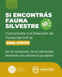 El Consejo Agrario Provincial recuerda la línea de atención para casos de fauna silvestre