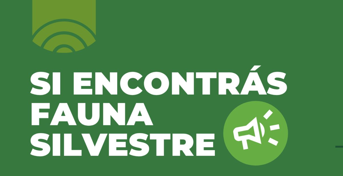 El Consejo Agrario Provincial recuerda la línea de atención para casos de fauna silvestre