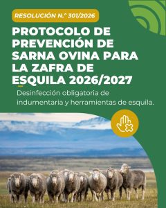 Sarna Ovina: comunicado para empresas de esquila y productores ganaderos ovinos