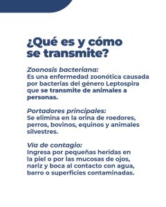 Leptospirosis: Recomendaciones para prevenir el contagio