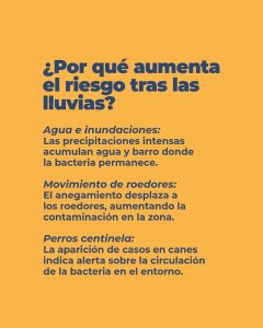 Leptospirosis: Recomendaciones para prevenir el contagio