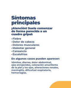 Leptospirosis: Recomendaciones para prevenir el contagio