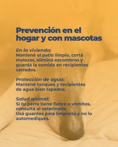 Leptospirosis: Recomendaciones para prevenir el contagio