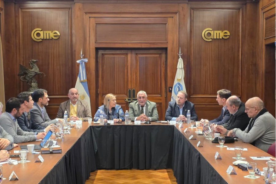 Santa Cruz participó del Consejo Patagónico de Desarrollo Económico