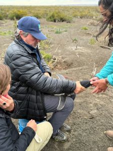 Movimientos de los pingüinos de Magallanes en el mar de Cabo Vírgenes