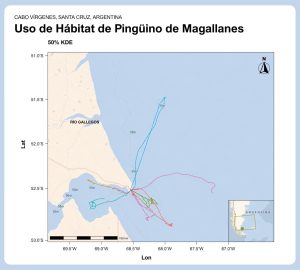 Movimientos de los pingüinos de Magallanes en el mar de Cabo Vírgenes