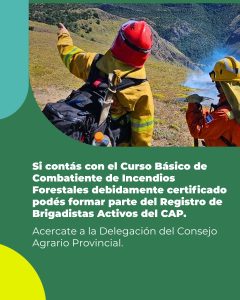 Temporada de mayor peligro de ocurrencia de incendios 