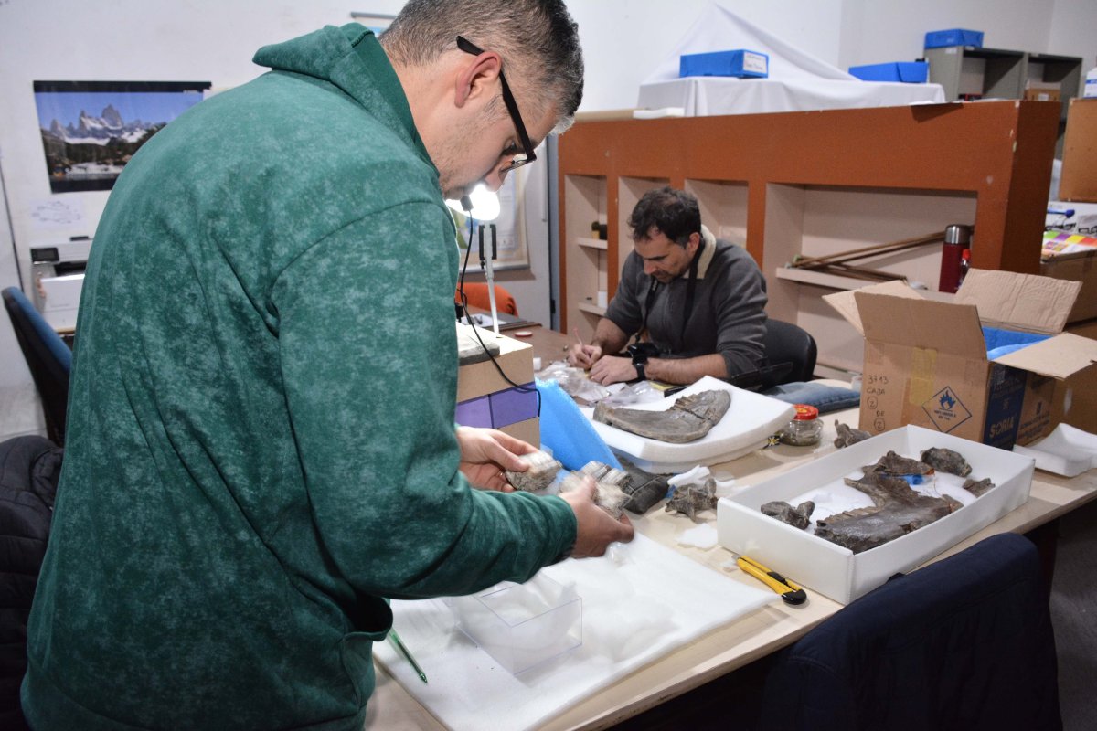 Paleontólogos destacan el valor científico de Santa Cruz y la importancia del Museo Padre Manuel Jesús Molina