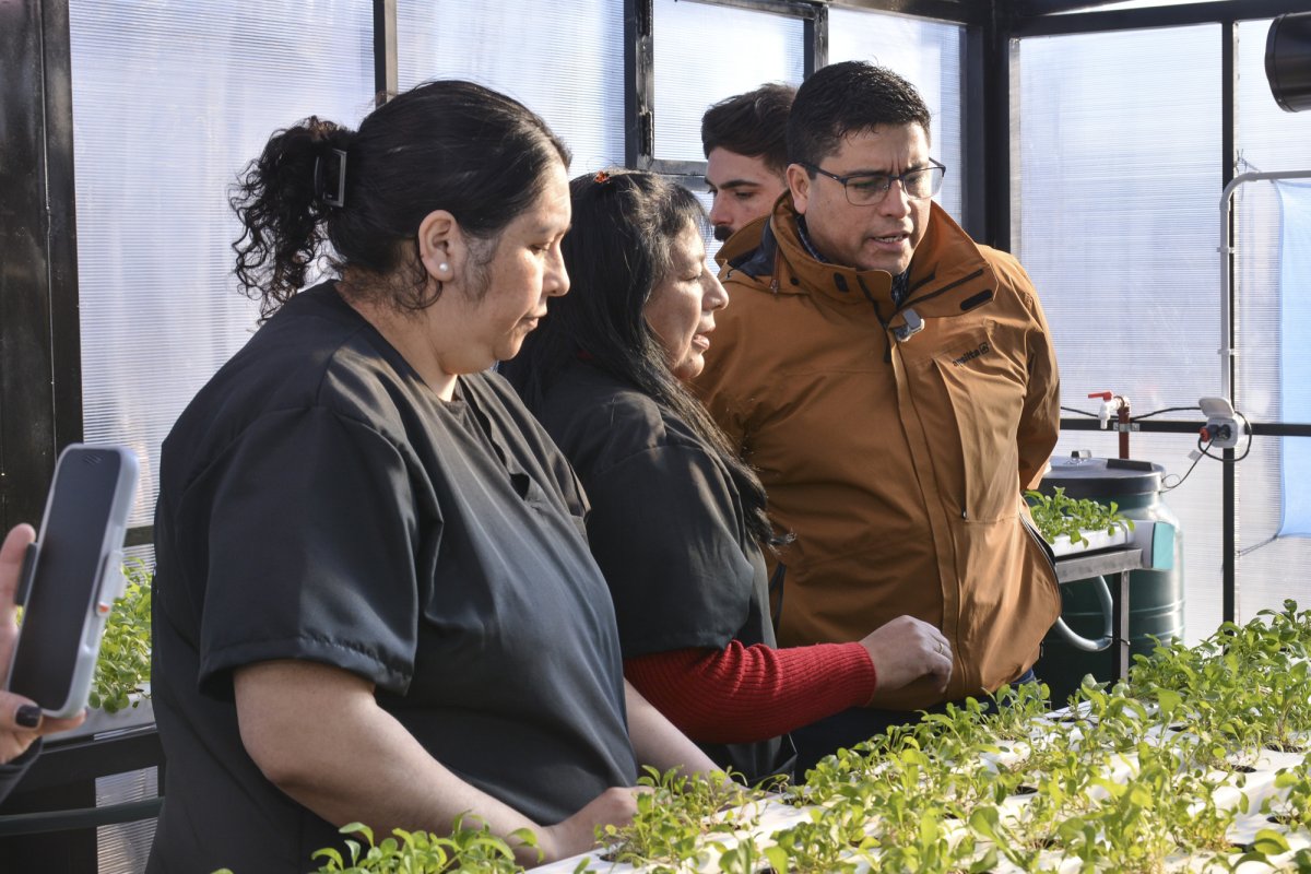 Santa Cruz Produce: hidroponía, tecnología y trabajo para impulsar la producción local