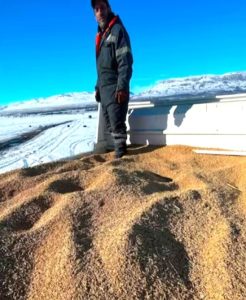 La Escuela Agropecuaria N°1 lidera una investigación clave para la ganadería santacruceña
