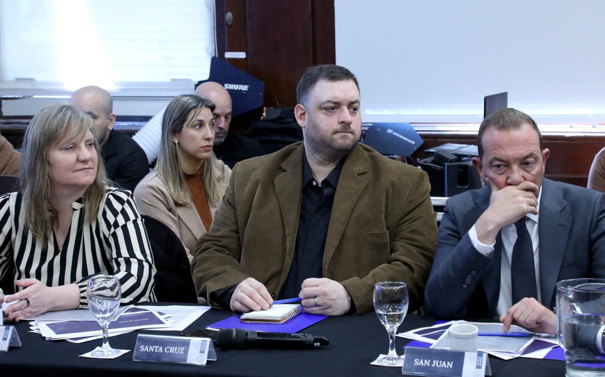 Salud participó de una nueva reunión del COFESA