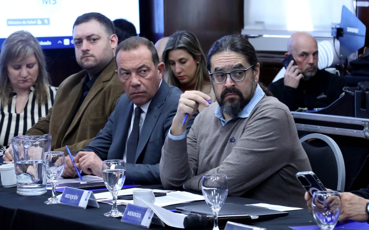 Salud participó de una nueva reunión del COFESA