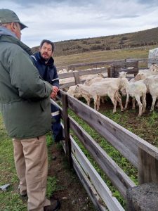 El Consejo Agrario Provincial lleva adelante medidas de prevención 