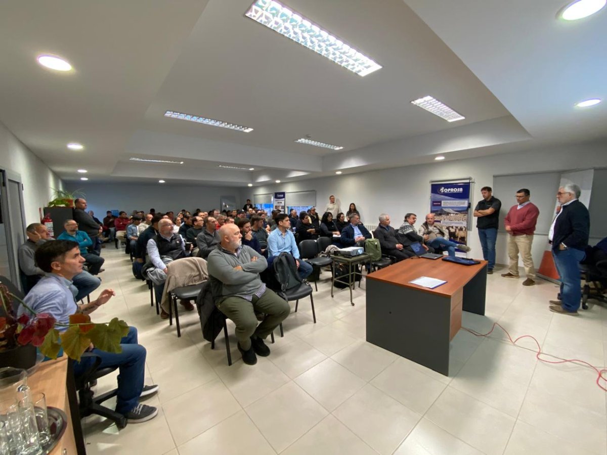 Santa Cruz refuerza la prevención para preservar su estatus libre de sarna ovina