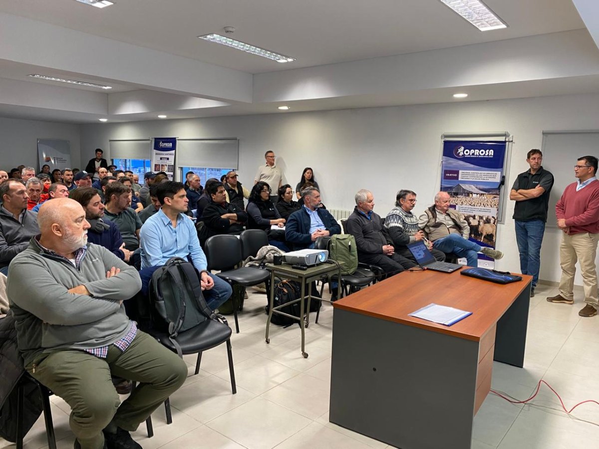 Santa Cruz refuerza la prevención para preservar su estatus libre de sarna ovina