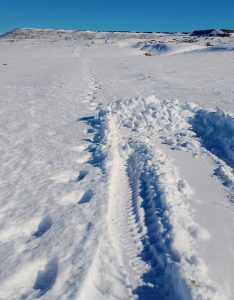 Vialidad Provincial desplegó operativos de asistencia y despeje de nieve en rutas santacruceñas