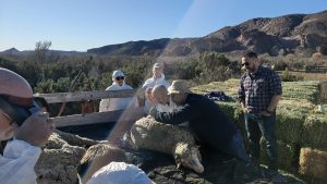 Consejo Agrario: Finalizó en Chubut la capacitación sobre la sarna ovina