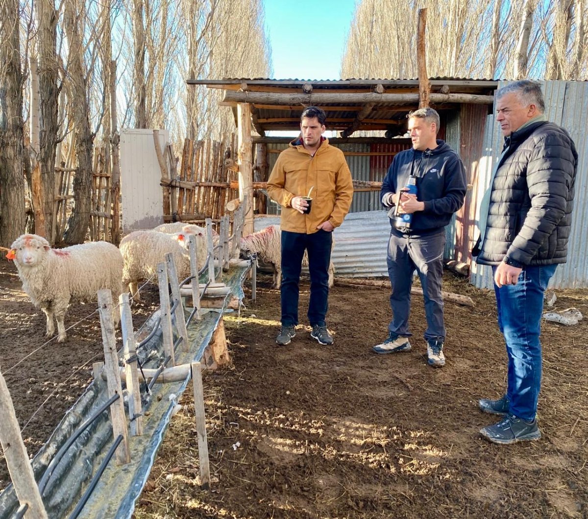 El CAP acompañó a estudiantes de Gobernador Gregores en una experiencia de producción ovina