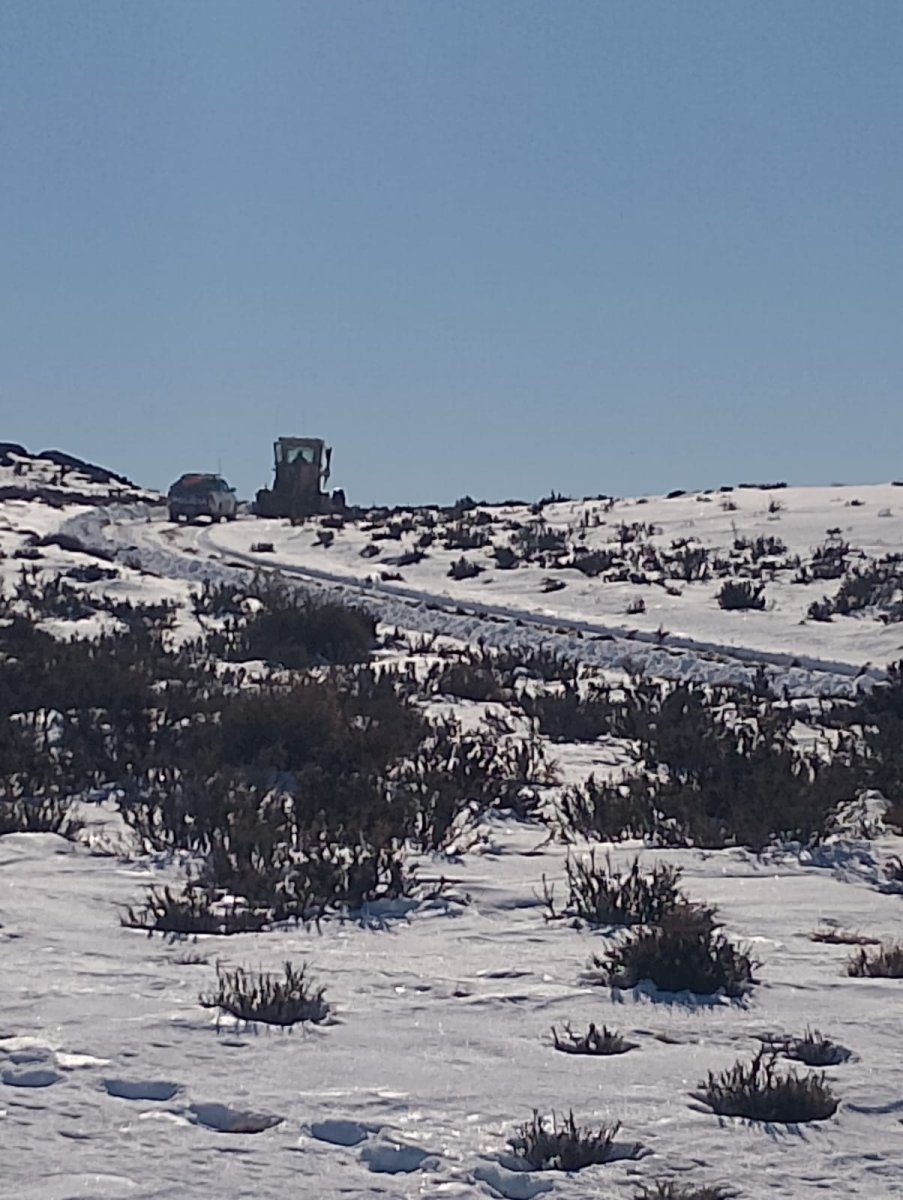Vialidad Provincial realizó el despeje de nieve y brindó asistencia en la Ruta Provincial N°39