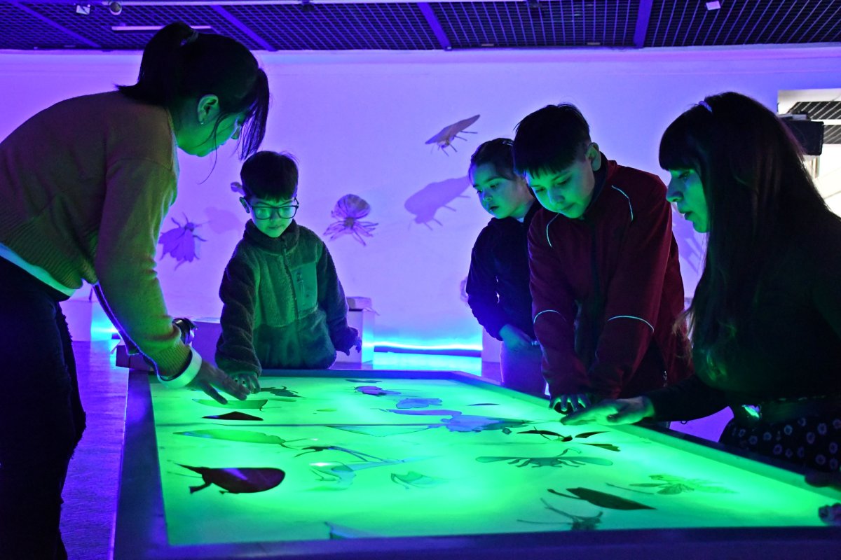 Niños y niñas participaron del taller “Exploradores de Insectos” en el Museo Molina