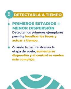 Alerta por tucura: Se intensifican los recorridos de campo para detectar los primeros focos