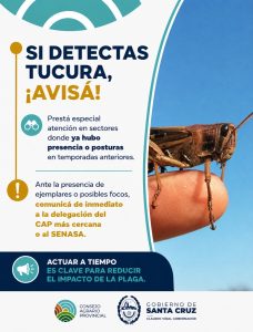 Alerta por tucura: Se intensifican los recorridos de campo para detectar los primeros focos