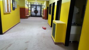 Se produjeron hechos vandálicos en la Escuela Primaria Nº 63 de Río Gallegos