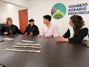 Santa Cruz explora nuevas alternativas para agregar valor a la fibra de guanaco