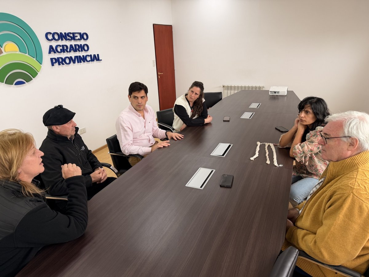 Santa Cruz explora nuevas alternativas para agregar valor a la fibra de guanaco