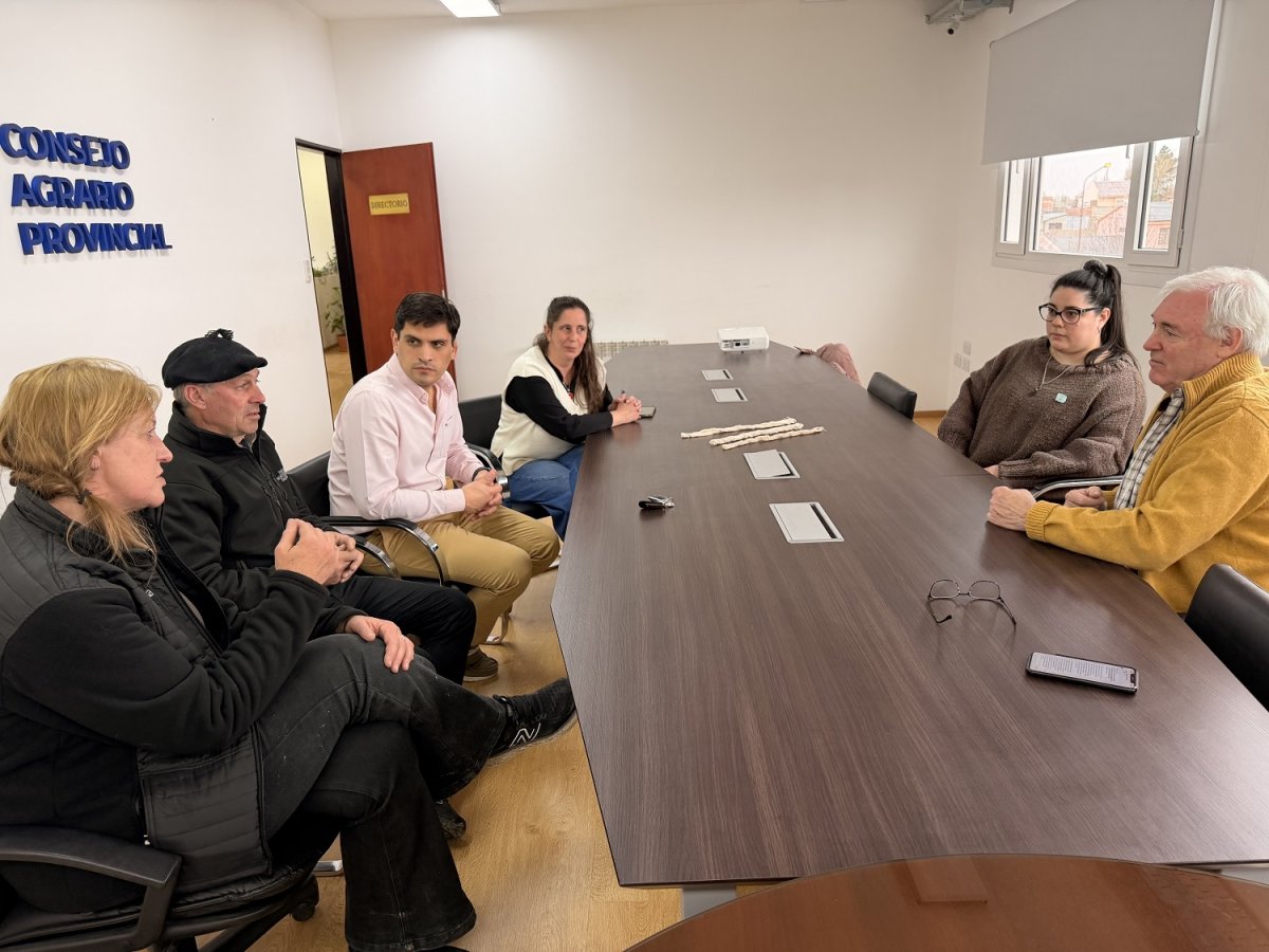 Santa Cruz explora nuevas alternativas para agregar valor a la fibra de guanaco
