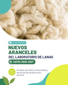 Conocé los nuevos aranceles del Laboratorio de Lanas para la Zafra 2026- 2027 