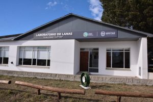 No se invertía desde 2012: El Gobierno Provincial recuperó y modernizó áreas estratégicas del Laboratorio de Lanas