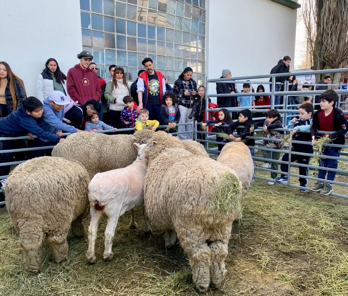 El campo santacruceño abrió sus puertas a las infancias