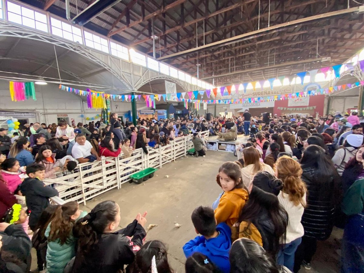 El campo santacruceño abrió sus puertas a las infancias