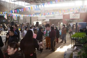 De la semilla a la cosecha: la hidroponía despertó la curiosidad de las familias