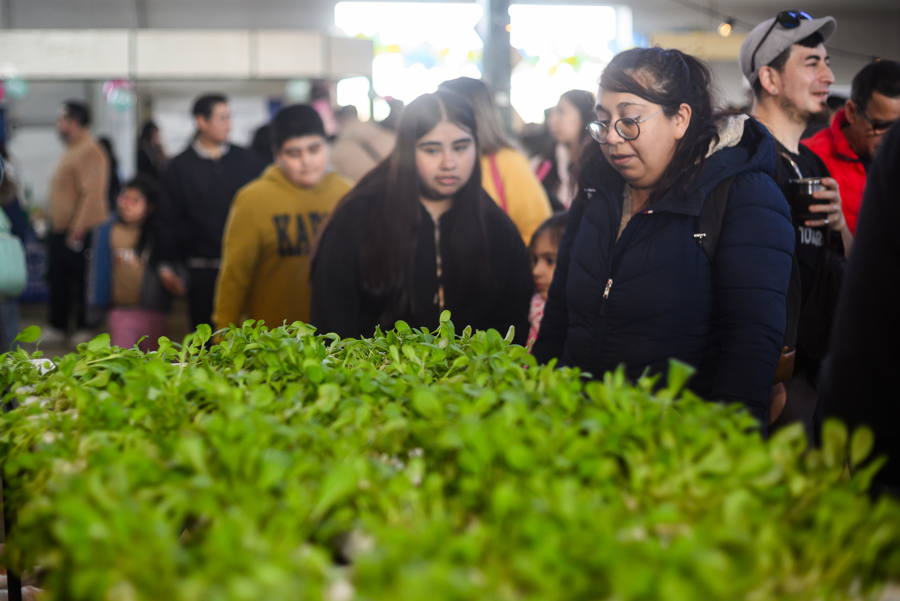 De la semilla a la cosecha: la hidroponía despertó la curiosidad de las familias