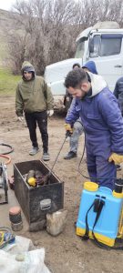 Santa Cruz sostiene la prevención y el control sanitario que preservan su estatus de zona libre de sarna ovina