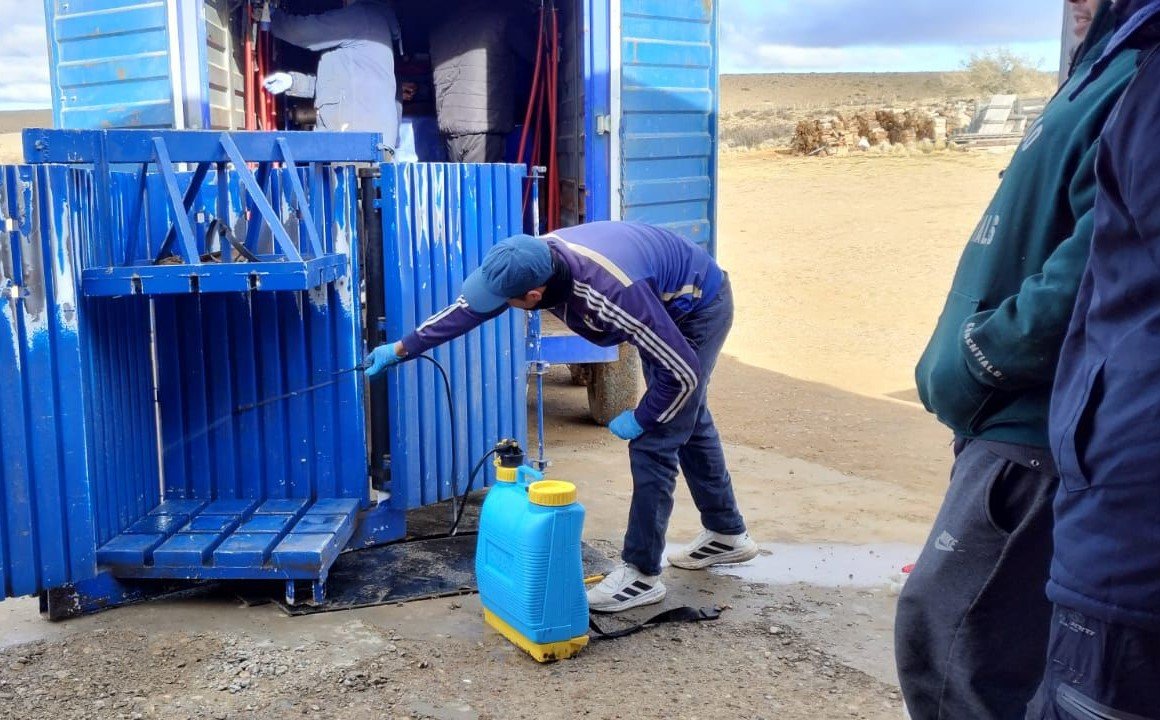 Santa Cruz sostiene la prevención y el control sanitario que preservan el estatus de zona libre de sarna ovina