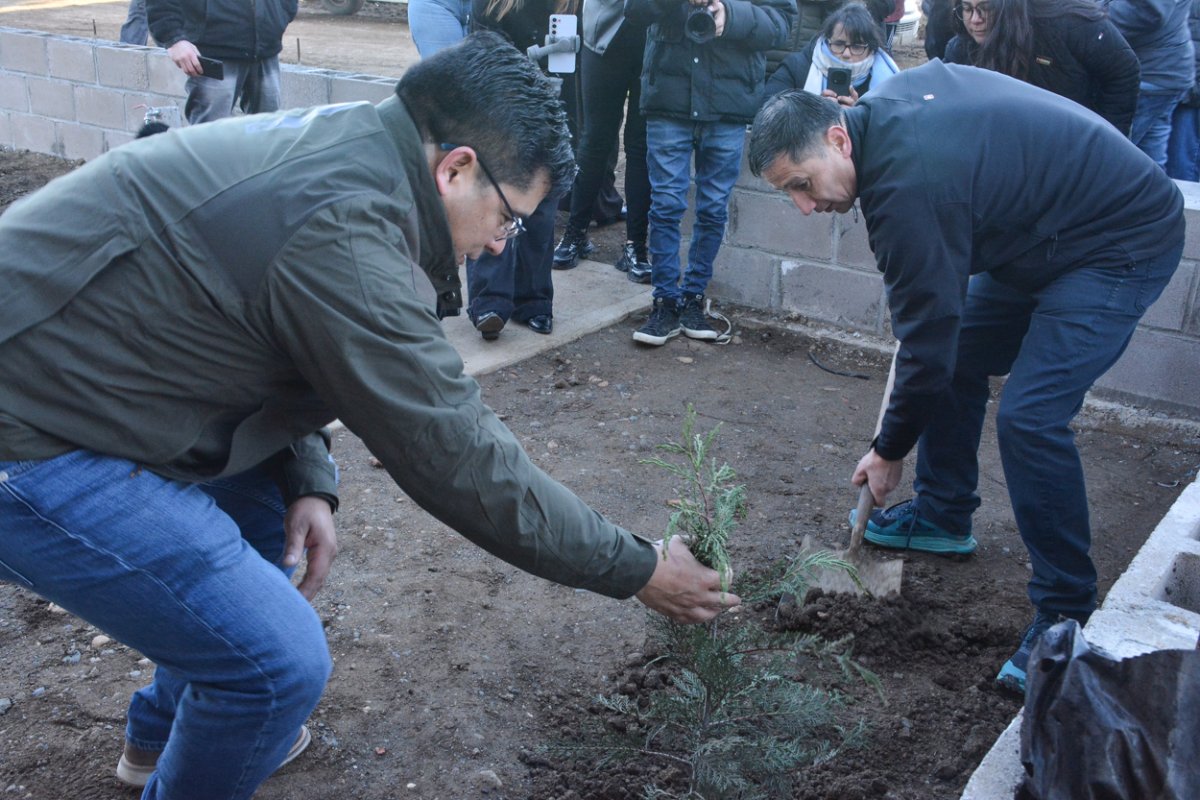El gobernador Claudio Vidal junto a Luis Vargas plantaron un pino en la entrada.