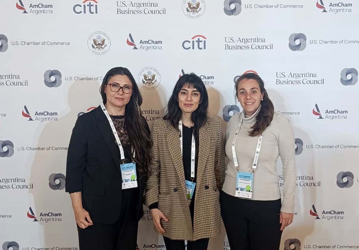 La secretaria de Estado de Minería, Paola Pavanello, junto a sus pares de Tucumán y Buenos Aires.