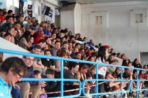 Más de 200 nadadores y un objetivo: llegar a la Araucanía