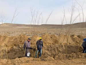 Avanza el proyecto de Forestación Estratégica