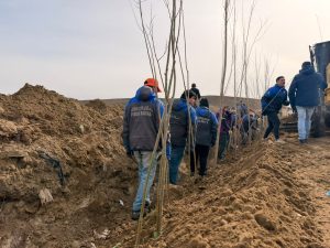 Avanza el proyecto de Forestación Estratégica