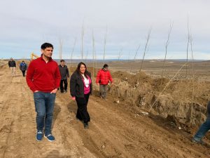 Avanza el proyecto de Forestación Estratégica