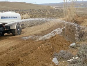 Avanza el proyecto de Forestación Estratégica