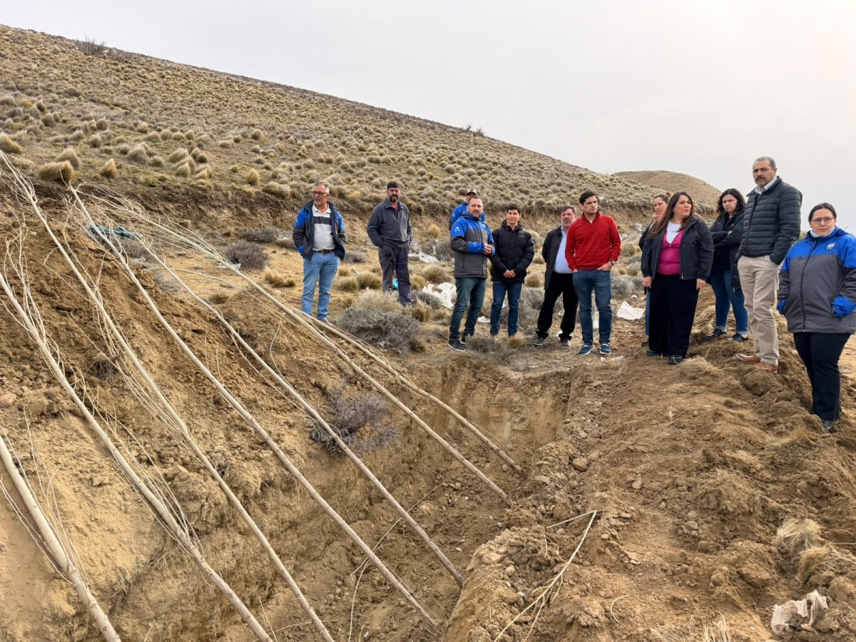 Avanza el proyecto de Forestación Estratégica